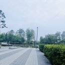 제4회 강서 허준런, 서울식물원과 한강을 달릴 수 있는 🏃🌿 올해는 접수 성공을!!, 오늘부터 접수 시작~