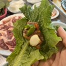 매월농원 네이버블로그