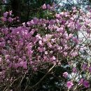 천주휴게소 이미지