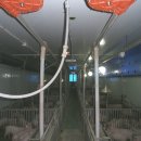 우보축산 이미지