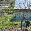 뽕이랑 귀농이랑 이미지