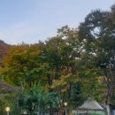 삼오축산