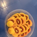 과일뭉치