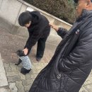 노일호 특수목적견 네이버블로그