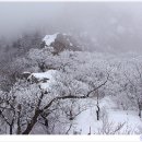 산이야기 이미지