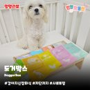 저단10 이미지