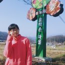 호박손마을 네이버블로그