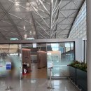 OZ | 태국 푸켓 아시아나 비즈니스 OZ747 탑승 후기 (기내식, 라면)