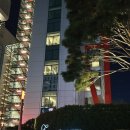 여의도 페어몬트 스펙트럼, 서울 가성비 호텔뷔페 여의도 회식장소 (콜키지프리 조건)
