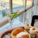 세븐일레븐 대전목련이지점 | 대전 대흥동 카페 추천 소금빵 맛집 콜드버터베이크샵