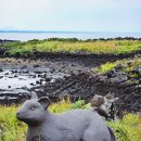 오봉 태양광발전소 이미지