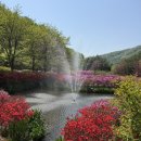 충북 진천 가볼만한곳 피크닉 추천 만뢰산자연생태공원