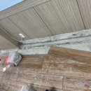 팔탄초대방분교 이미지