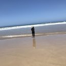 [멜버른] [포트캠벨] 숨 막히는 절경, 그레이트 오션 로드 드라이브 (feat. 12사도)&amp; 하룻밤 후기! 🌊🚗🍕