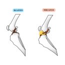 풍산동물병원 이미지