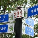 계룡IC - 충청남도 | 계룡IC