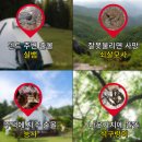 전원농장 | 뱀이싹 주말농장 전원주택 필수템 뱀퇴치제 사용 후기