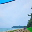 삼척해양레일바이크 궁촌정거장