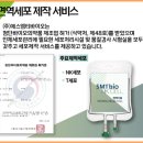 에스엠티(SMT) 대한