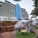 꽃지아일랜드 이미지