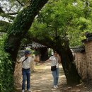 지리산 꽃담_ 이름그대로 2021.7/16-17