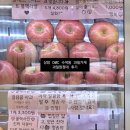 과일 원정대2 네이버블로그