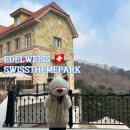 맑은샘운동화세탁 | 가평 에델바이스 스위스 테마파크 애견동반 가볼만한곳 방방이 트램폴린 최고