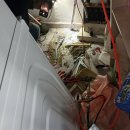 수정로257번길 이미지