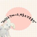지에스(GS)25 기흥센트럴점 | gs25편의점 신상 간식 디저트 수건 케이크,벽돌모양초콜릿(비추천)내돈내산 후기