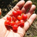 황토방 산장 이미지