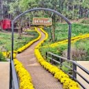 숲속 향기 작은도서관 이미지