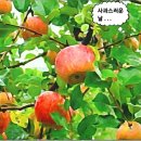 굿모닝농장 이미지