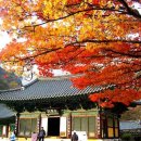 즐거운한우 - 용인시 수지구 정평로 34-2 | 즐거운한우