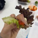 내돈내산 화천 산천어축제 후기(존잼!)ㅣ8시 도착, 예약낚시터, 눈썰매, 간식 및 먹거리