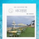 속초 고성 바다뷰카페 바다정원 주차 베이커리 음료 카라멜 내돈내산 후기