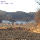 산법리 네이버블로그