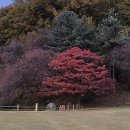 로제비앙GC 이미지