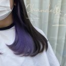 앨리의씨크릿