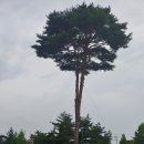 월곡쉼터 이미지