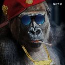 구로-구로-구로-733 이미지