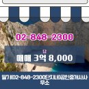 단지내파트너공인중개사사무소 | 딸기(02-848-2300단지내)공인중개사사무소 김천시 대항면 토지 매매 3억 8,000