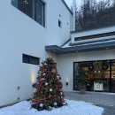 멍린이집 | 양평 애견펜션 메리도그하우스