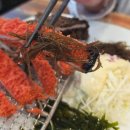 누엘아토 | 오이도 돈가스 맛집 누엘아토 돈가스 오이도 가성비 데이트 후기.