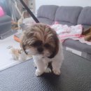 이쁘개(내포신도시점) 이미지