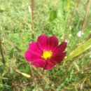 (주)듀만 이미지