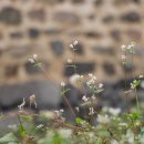 의령 오운마을 옛 담장 이미지