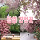 성산패총로-2 이미지