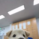 진도군청 Daum카페