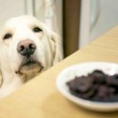 (주)여우리 이미지