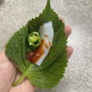 생물갑오징어 노마진 무조건 드세요 / 백합조개 이미지
